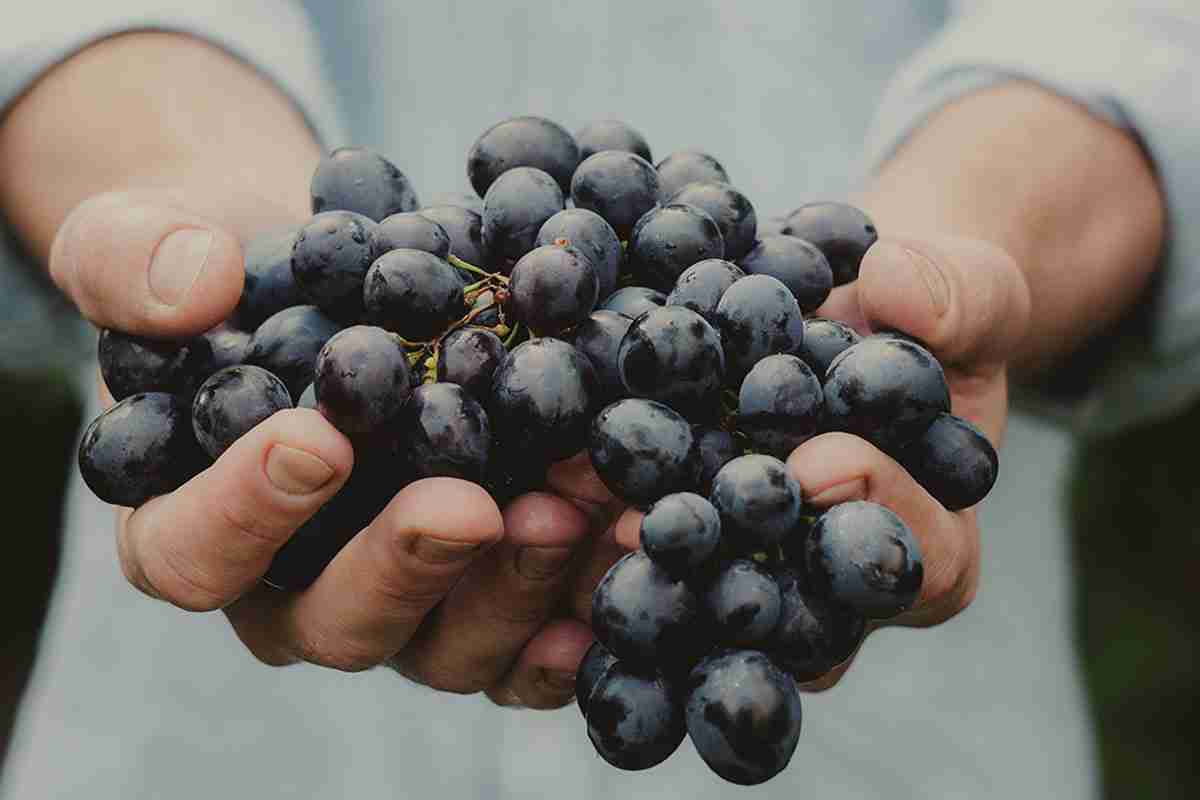 tipsandreview.com - Overpaying for Wine!